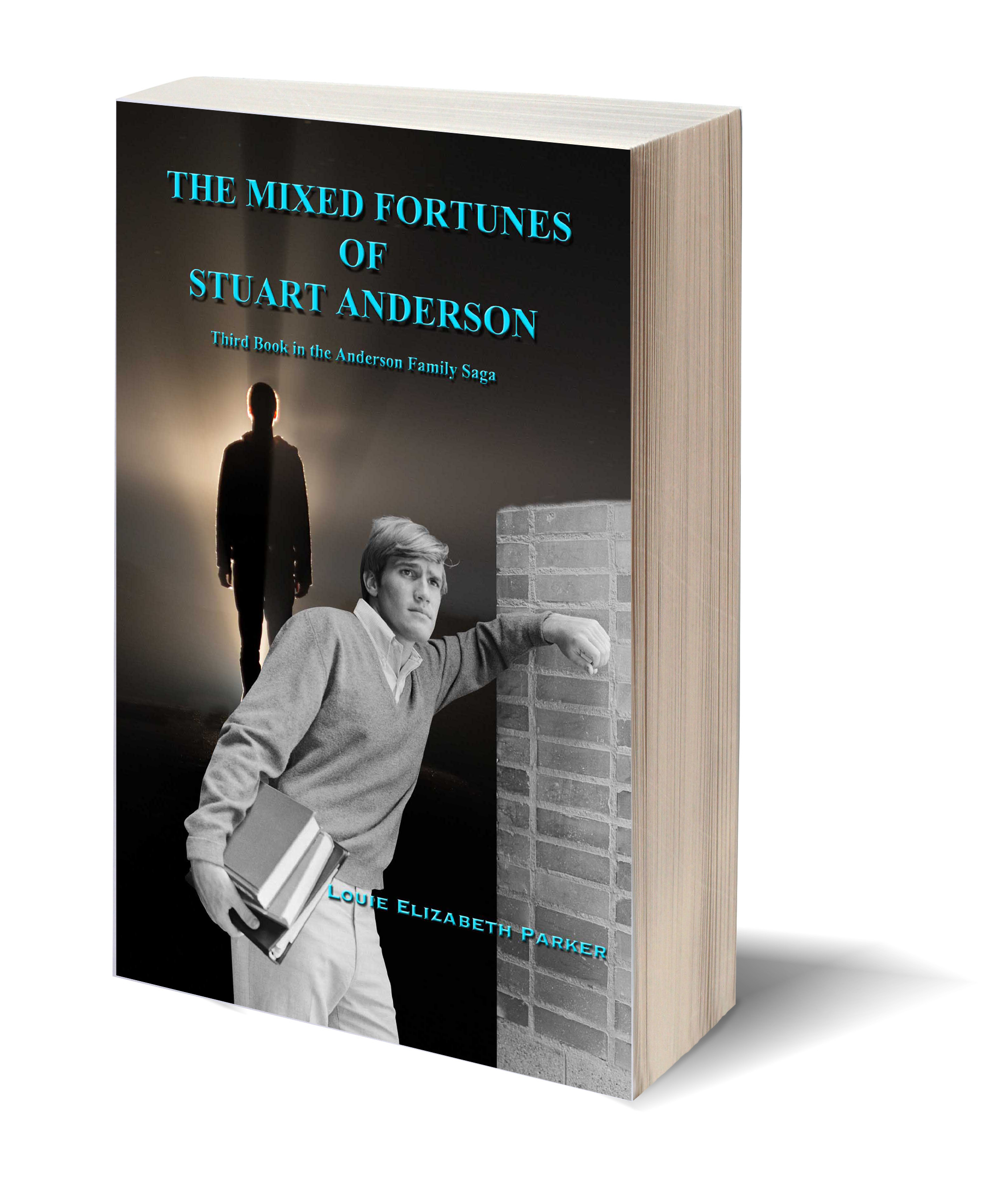 Mixed Fortunes Cover